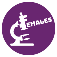 Females e-Learning Platform